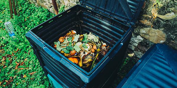 composting bin