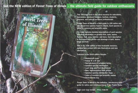 cover of Forest Trees of Illinois