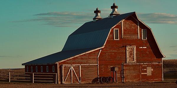 livestock barn