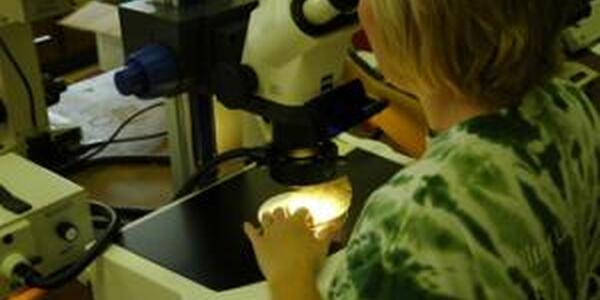 woman looking into microscope