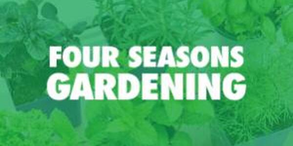 Text on garden background reads Four Seasons Gardening