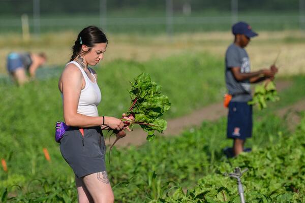 people in field