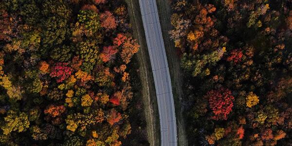 road through forests in fall