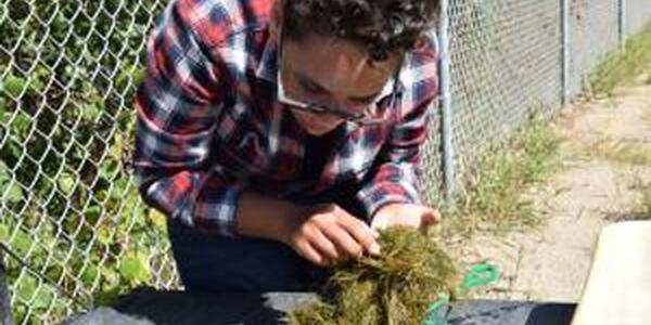 young man examining grass