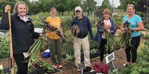 5 people harvesting vegetables