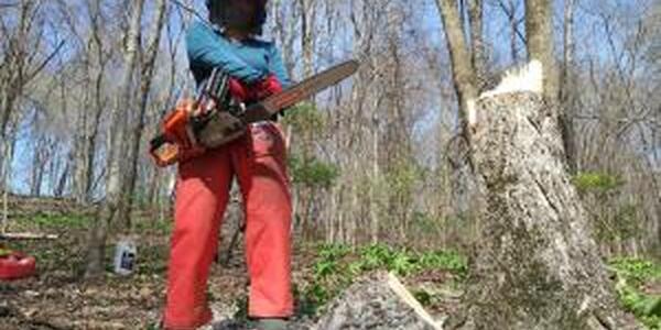 woman with chain saw