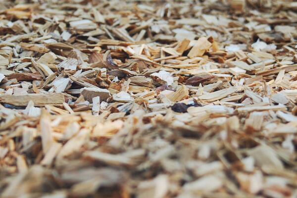 wood chip mulch