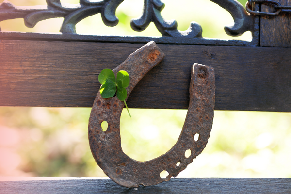 horseshoe with a clover