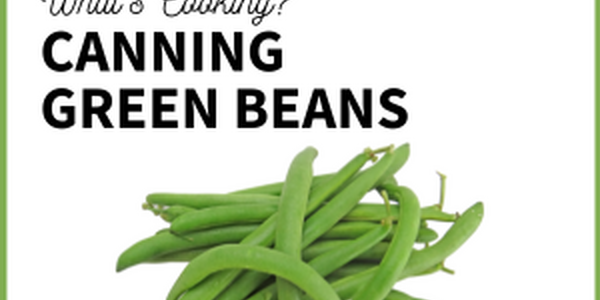 canning green beans