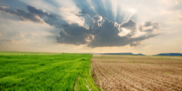climate change on a farms showing the affects of a drought