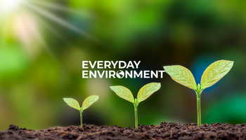 Everyday Environment plants growing in dirt Everyday Environment