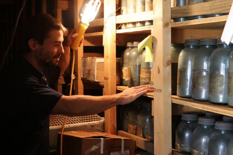 Man holding a work light examines large jars of soil on shelves in dark room