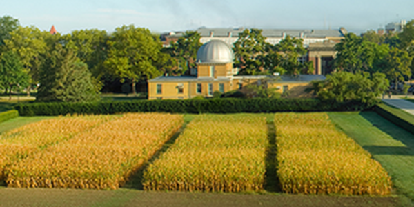 Morrow Plots at Mumford Hall