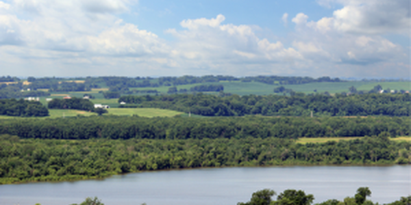 river with trees