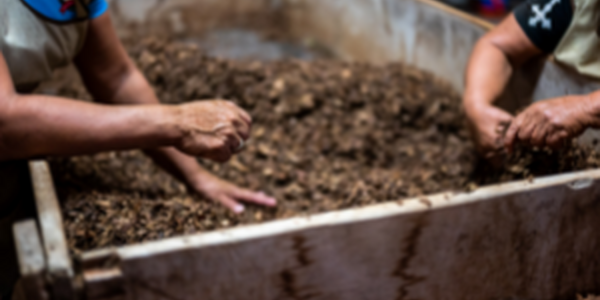 Two people patting compost bin