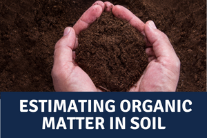 soil in hand