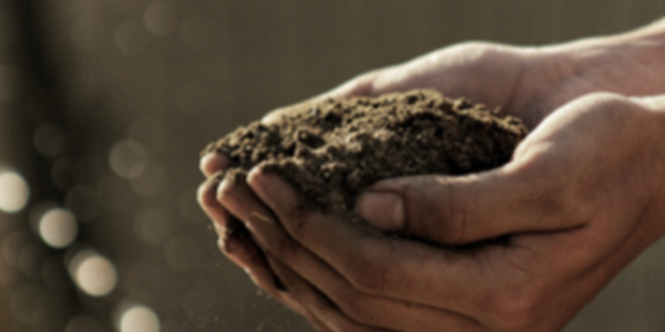 Hands holding soil