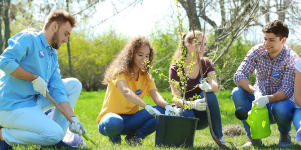 Young people planting trees