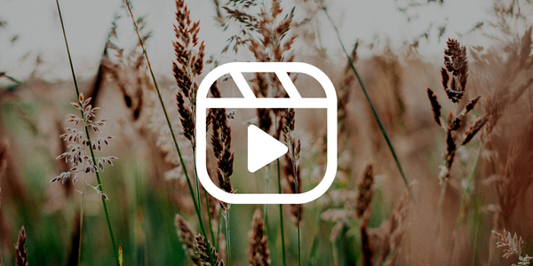 prairie grass video training