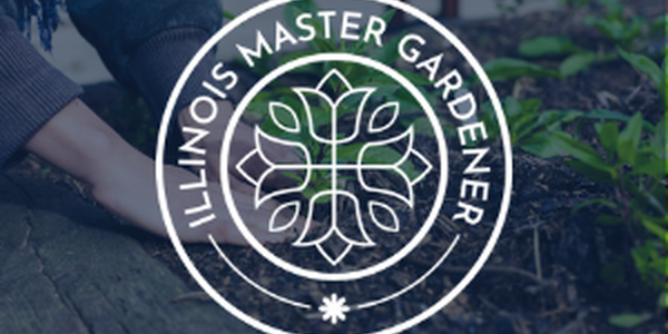 White Master Gardener logo on photo of hands planting a plant. 